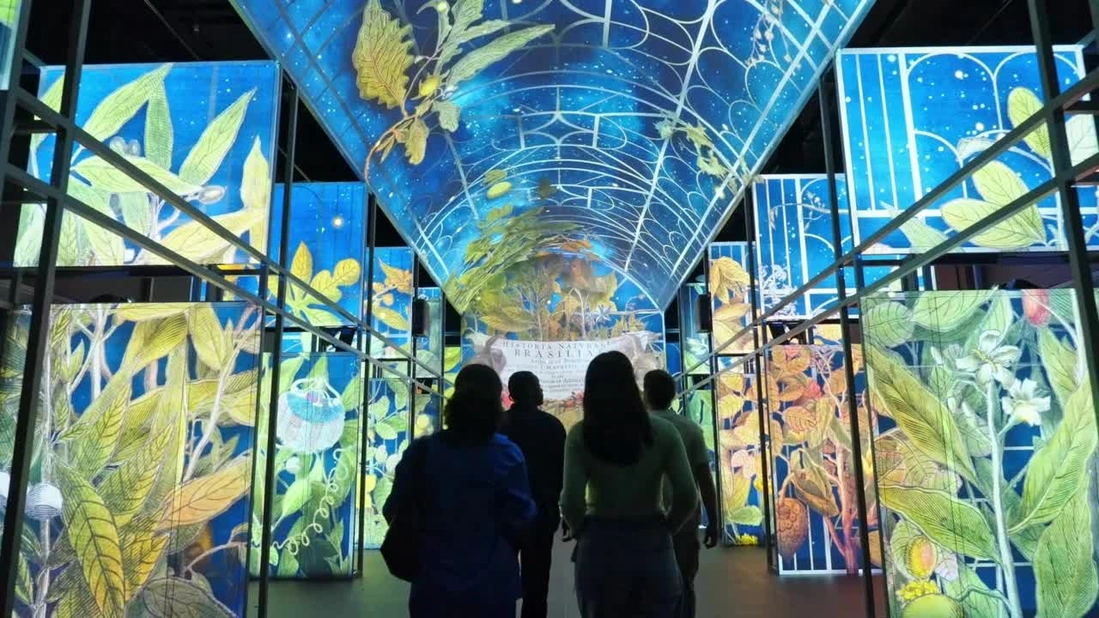 Rolling Irish countryside with winding lanes